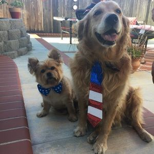 Meet your Posher, Tara